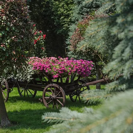 Grand Garden * Kraków